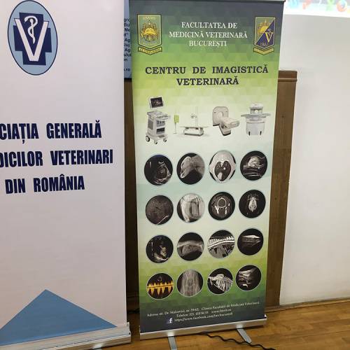 workshop-ecografie-modul-01b