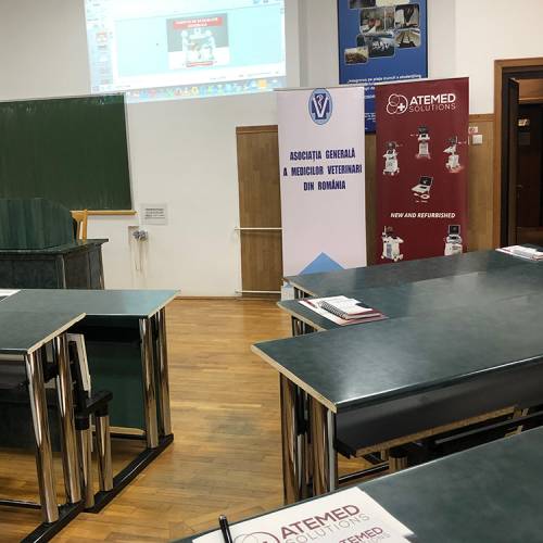 workshop-ecografie-modul-04b