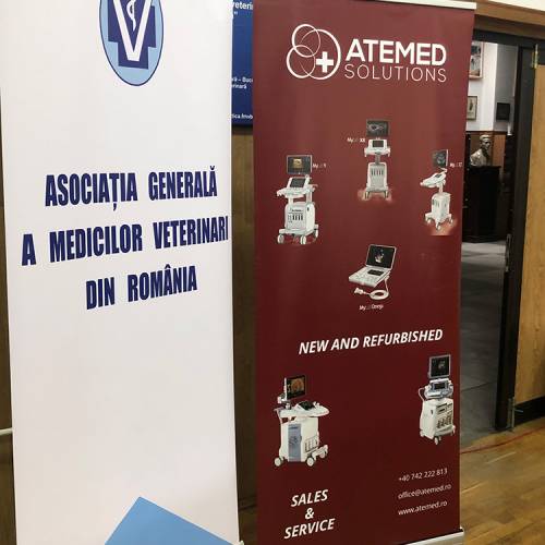 workshop-ecografie-modul-05b