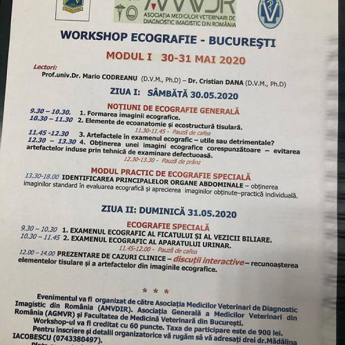 workshop-ecografie-modul-07b