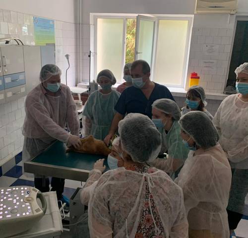 workshop-ecografie-modul2-03b