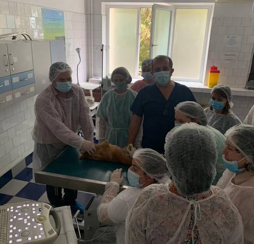 workshop-ecografie-modul2-04b