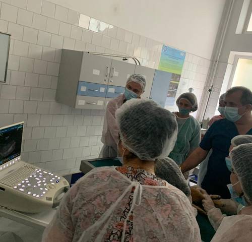 workshop-ecografie-modul2-05b