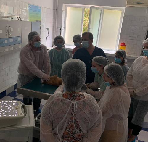 workshop-ecografie-modul2-06b