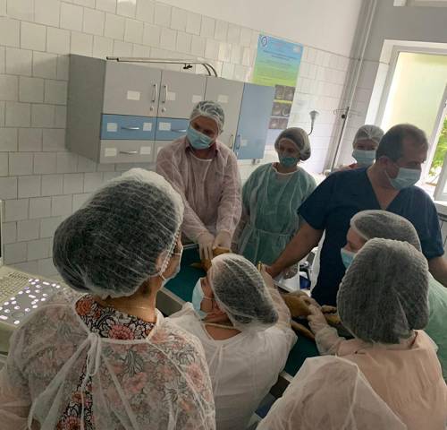 workshop-ecografie-modul2-07b