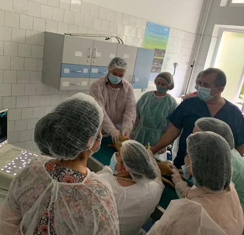 workshop-ecografie-modul2-10b