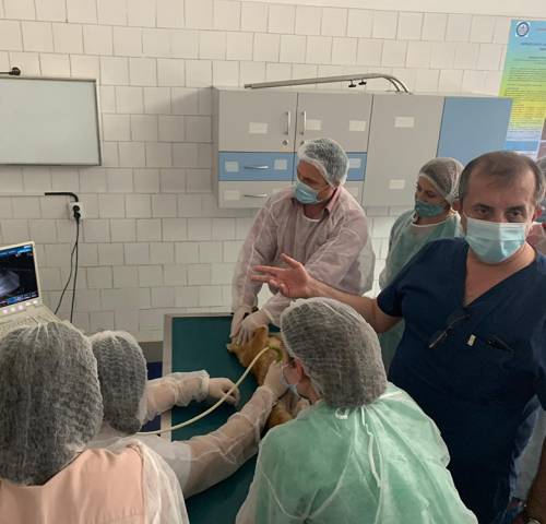 workshop-ecografie-modul2-12b