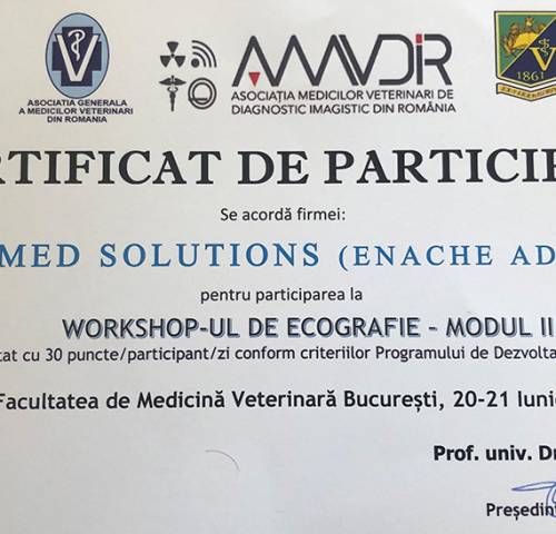 workshop-ecografie-modul2-13b