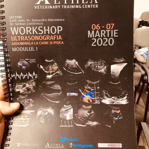 workshop-ultrasonografia-abdominala-03b