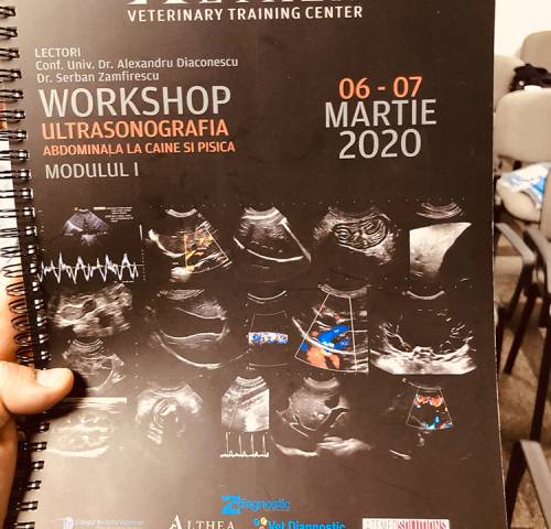 workshop-ultrasonografia-abdominala-03b