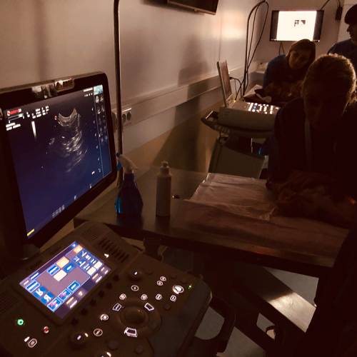 workshop-ultrasonografia-abdominala-06b