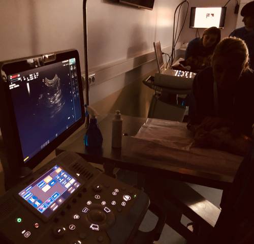 workshop-ultrasonografia-abdominala-06b