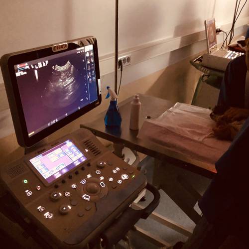 workshop-ultrasonografia-abdominala-07b