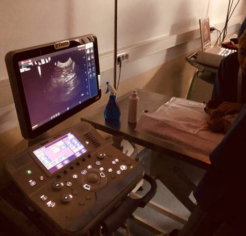 workshop-ultrasonografia-abdominala-07b