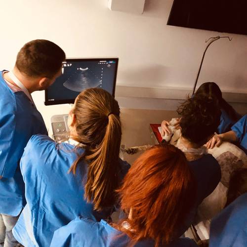 workshop-ultrasonografia-abdominala-10b