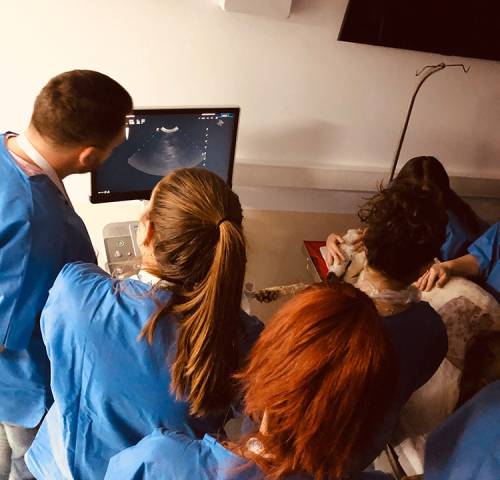 workshop-ultrasonografia-abdominala-10b