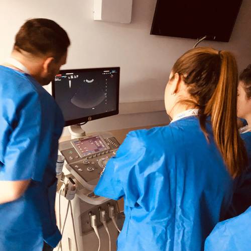 workshop-ultrasonografia-abdominala-11b