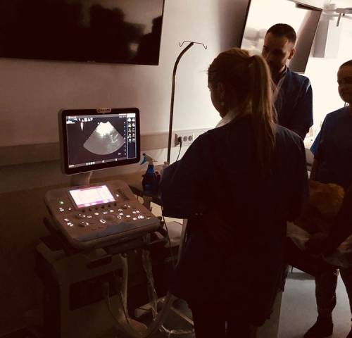 workshop-ultrasonografia-abdominala-13b